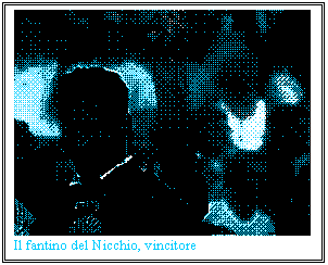 Casella di testo:  Il fantino del Nicchio, vincitore