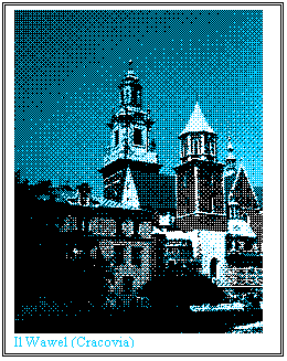 Casella di testo:  
Il Wawel (Cracovia)
