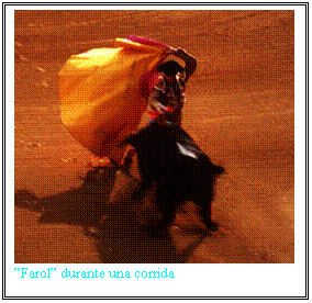 Casella di testo:  Farol durante una corrida