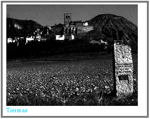 Casella di testo:  
Tiermas
