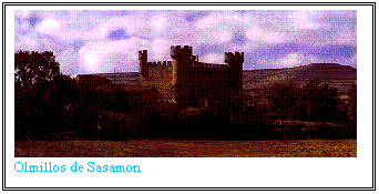 Casella di testo:  
Olmillos de Sasamon
